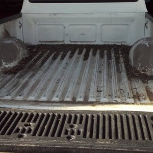 Took off bedliner and cleaned