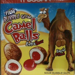 Camel