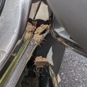 FML