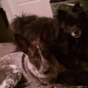 mollyandwrex