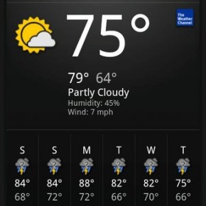 Nice forecast