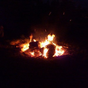 Last night