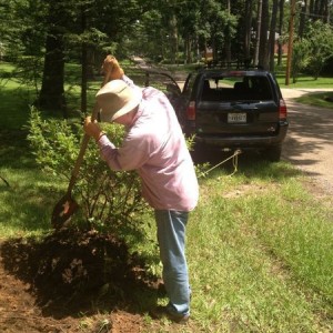 Landscaping