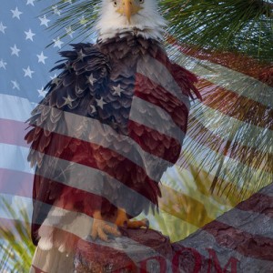 Eagle, Flag
