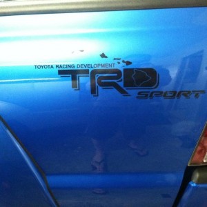 TRD decal