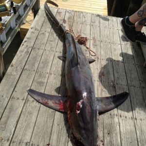 200# thresher