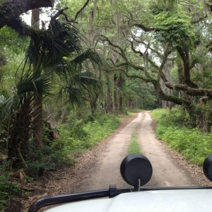 Back road riding on Edisto Beach