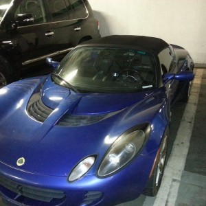 Lotus