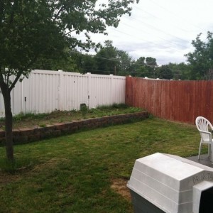 The out of control grass forest is now back under control