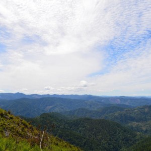 DSC_0160_copy