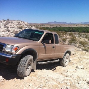 1999 taco in N.V. BLM