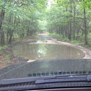 Puddles