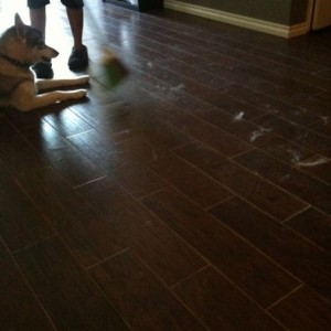 Wife sweeps up the dog hair...dog proceeds to lie down in the pile and shak