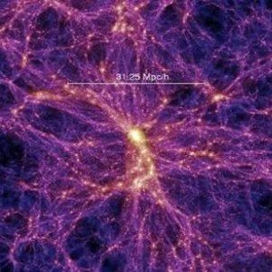 Cosmic-web