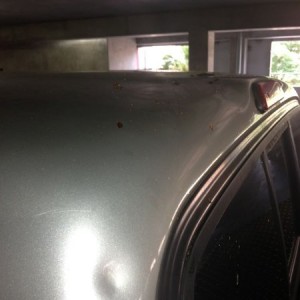 Some ass-hat decided to bust a beer bottle on my cab :rant: