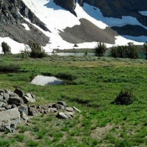 Near Carson Pass