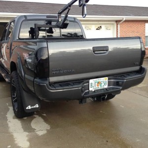 tinted tails