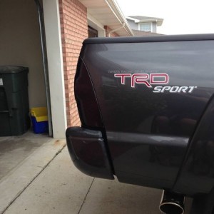 tinted tails