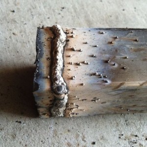 At least I got the shitty flux core welder dialed in