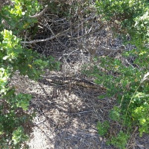 Nature..... Don't tread on her