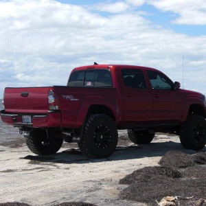 OBX1