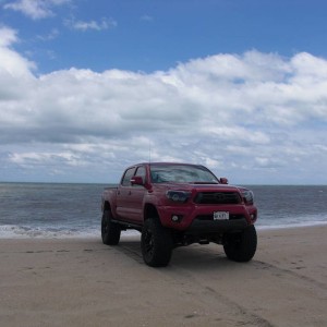 OBX3