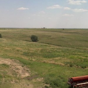 Kansas