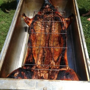 Here piggypiggypiggy