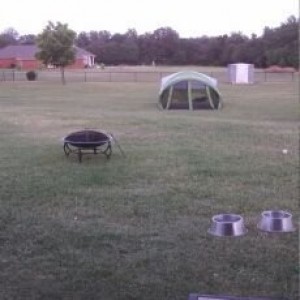 Having a backyard camp out with the kids tonight.