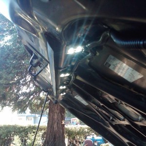 IMG00490-20130706-1846