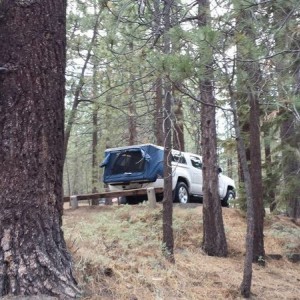 truck in the woods
