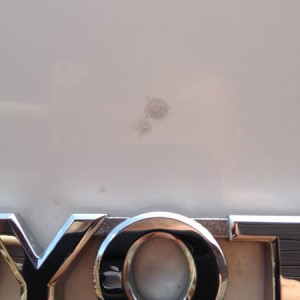 Paint Peeling