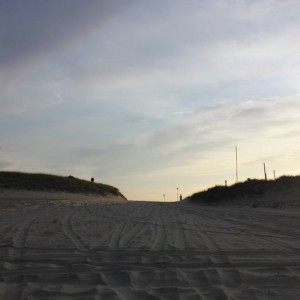 OBX