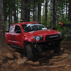 tacoma_co_cover