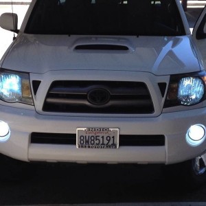 2010 Tacoma TRD Sport