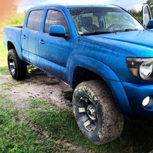 My Blue 07 Taco Pre Runner