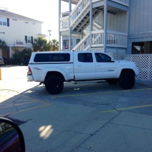 Spotted in Murrells Inlet/Surfside