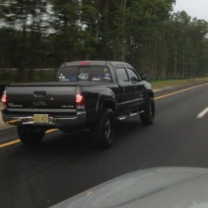 spotted