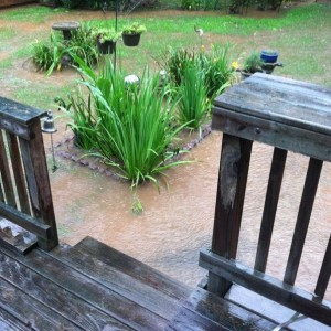 Localized flooding in my parents backyard.