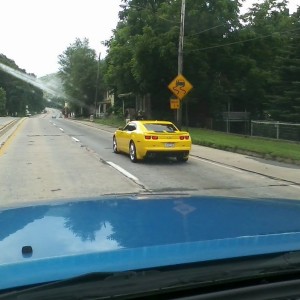 bumblebee?