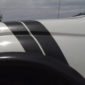 Stripe Close up