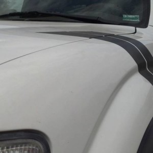 Stripe Close up