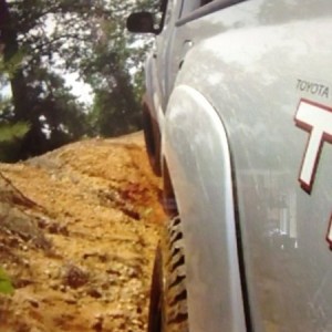 3 wheelin