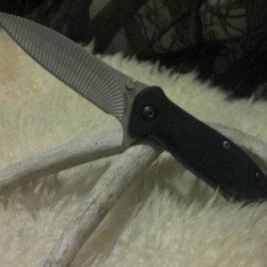 Kershaw Zing Knife 1735