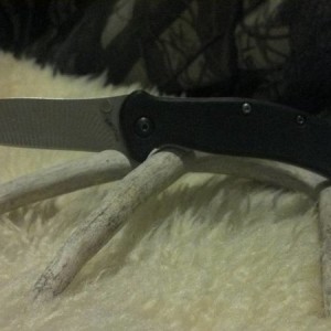Kershaw Zing Knife 1735