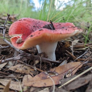 PXL_20220819_001352222