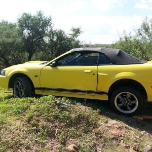Got to tow out a mustang that tried offroading and high centered itself.