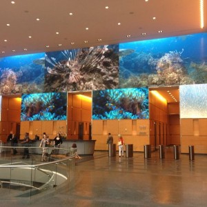 Comcast lobby. Huge HD projection screen.