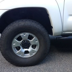 FAT. New wheels