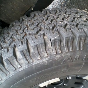 TW Wardens at 8000 miles.